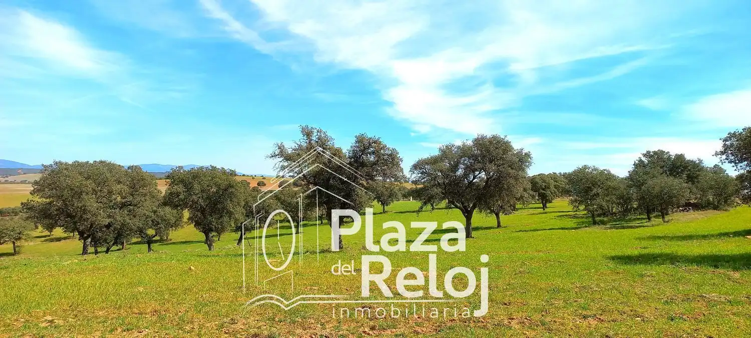 Terreno rustico in vendita a CERVANTES 0, imagen 19