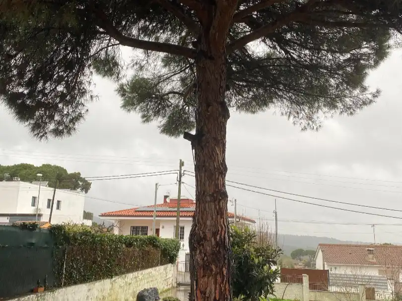 House with garden for sale in Calle Arenys de Mar 27, imagen 2