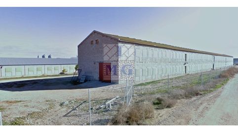 Foto 5 de Finca rústica en venta en Pedanías - Extrarradio, Albacete Capital