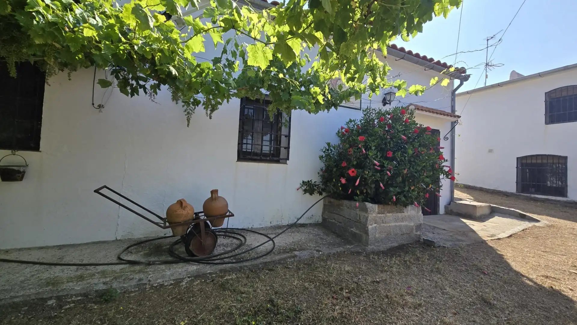 Jardín de Finca rústica en venta en Pozoblanco