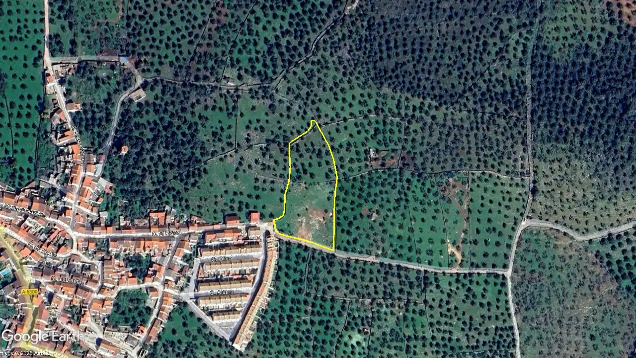 Residential for sale in Cañaveral de León