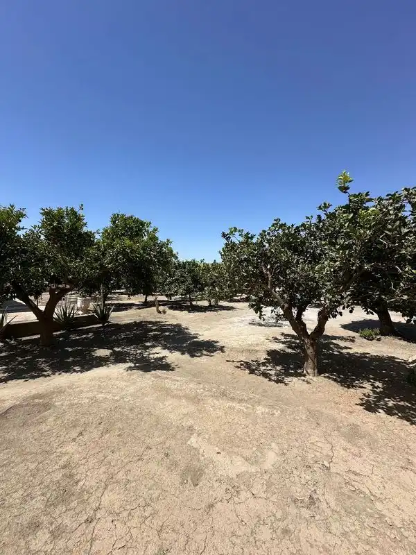 Terreny rústic en venda a La Cañada de San Urbano, imagen 9