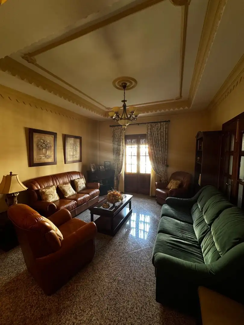Sala d'estar de Casa o xalet en venda en Morón de la Frontera