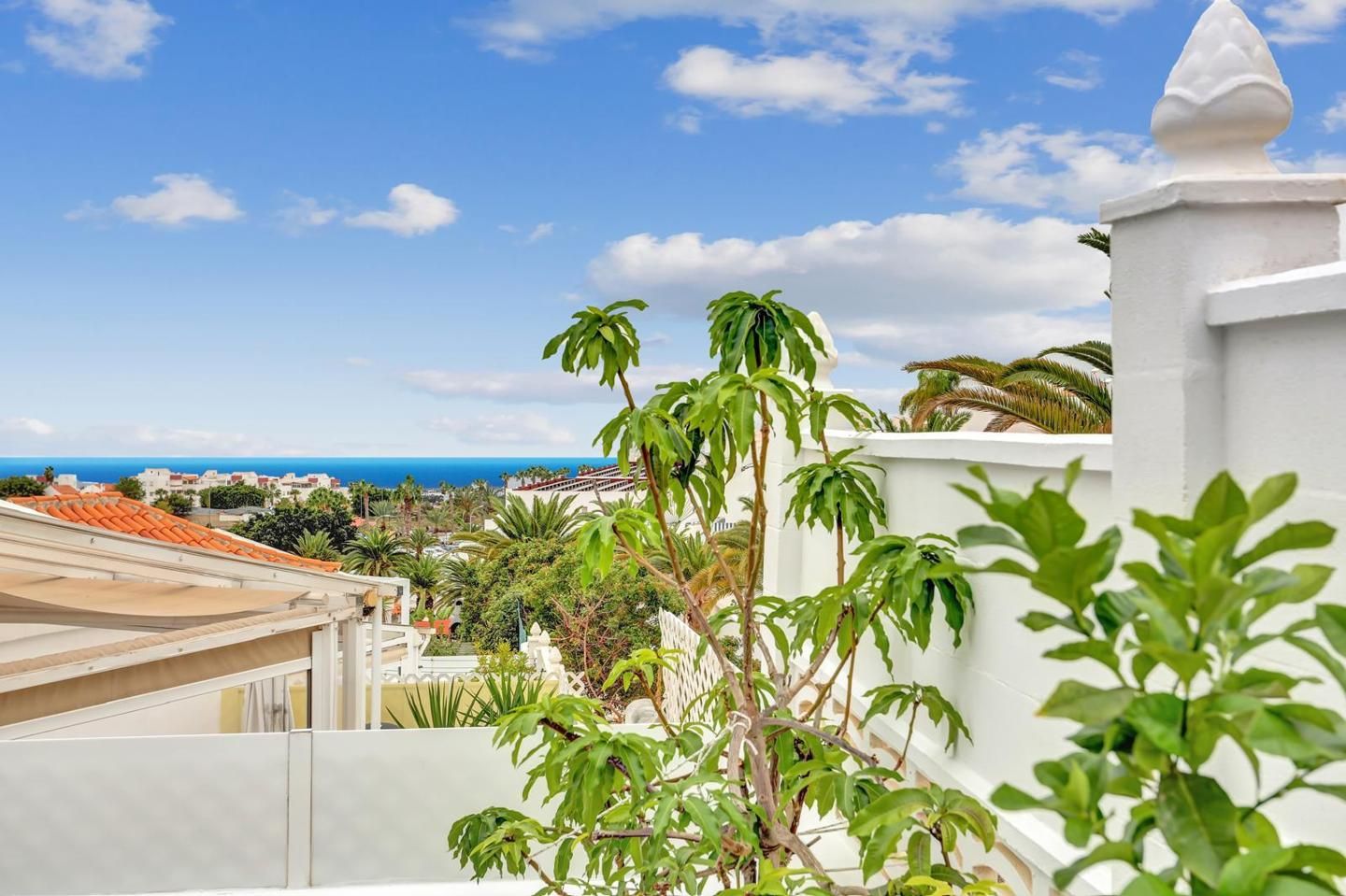 Vista exterior de Planta baixa en venda en Adeje amb Terrassa, Moblat i Piscina comunitària