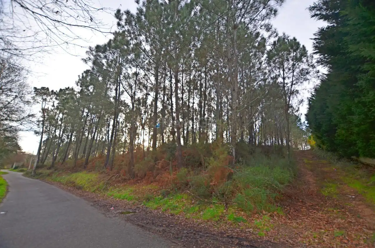 Terreno rustico in vendita a CARREGAL ABAIXO, imagen 21