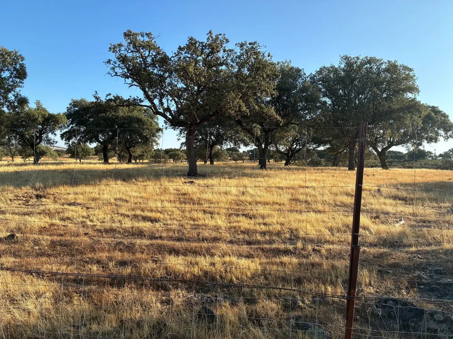 Rural land for sale in Puerto de San Vicente, imagen 2