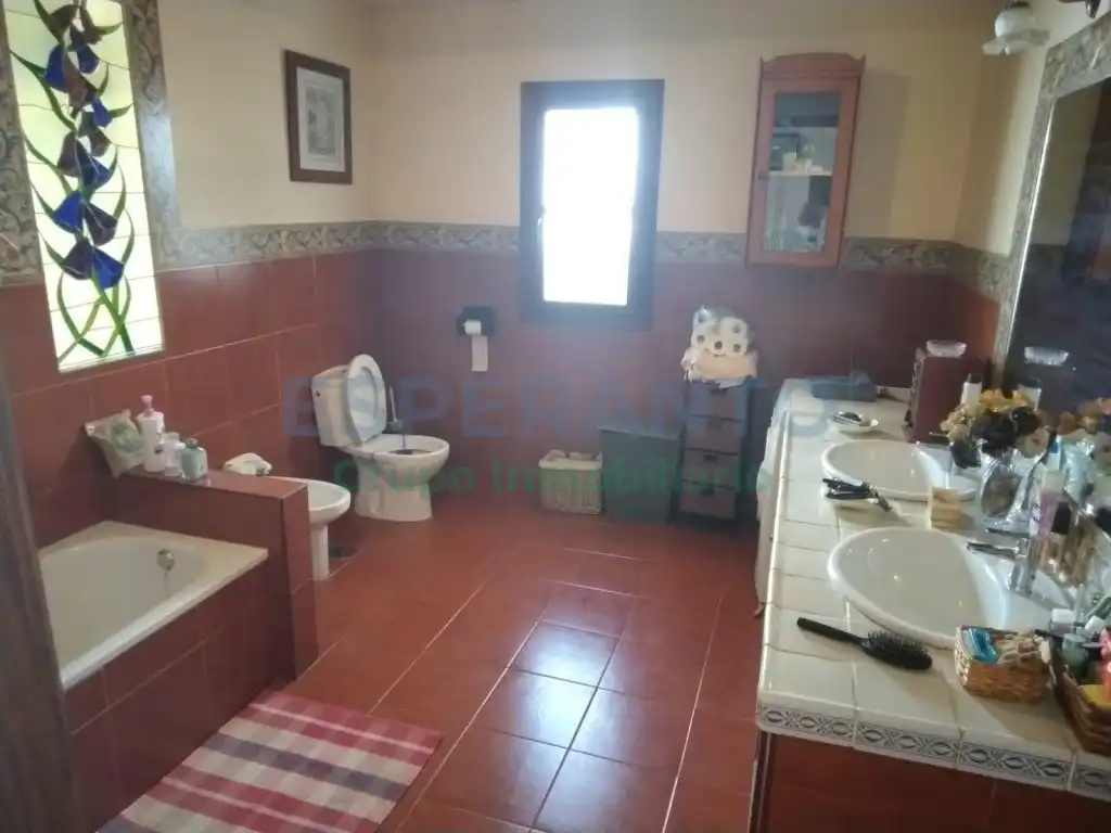 Maison avec terrasse à vendre à Este, imagen 7