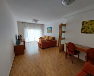 Living room of Flat to rent in Cerdanyola del Vallès  with Furnished, Oven and Washing machine