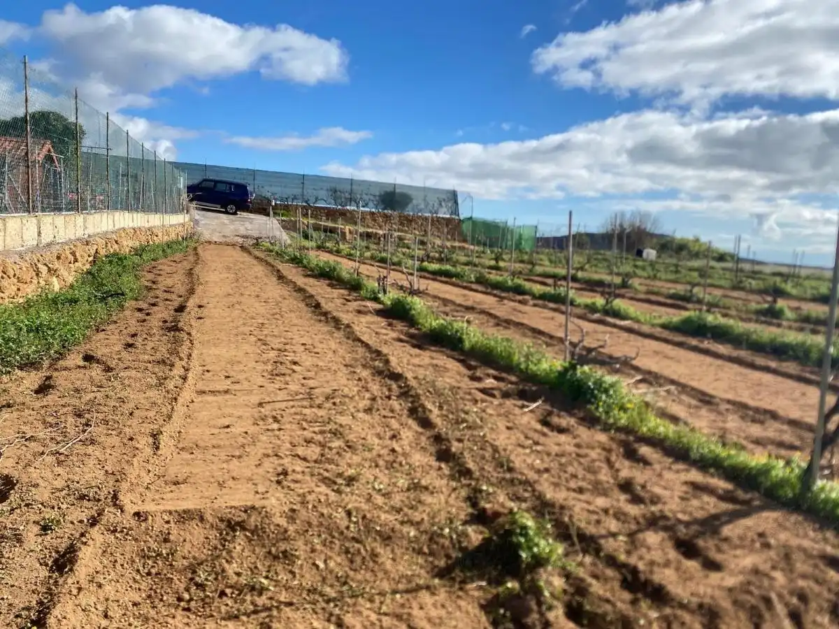 Terreno en venta en Granadilla de Abona