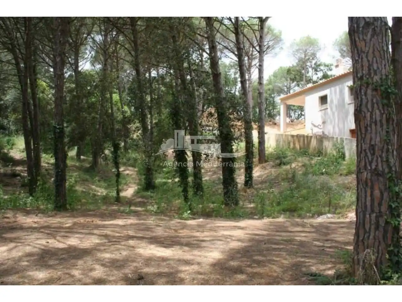 Terreno rústico en venta en Avenida Manxa