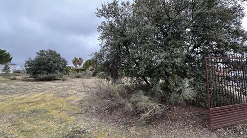 Photo 2 of Residential for sale in Valdepastores - Las Encinas, Madrid