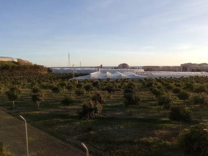 Jardí de Finca rústica en venda en Algarrobo