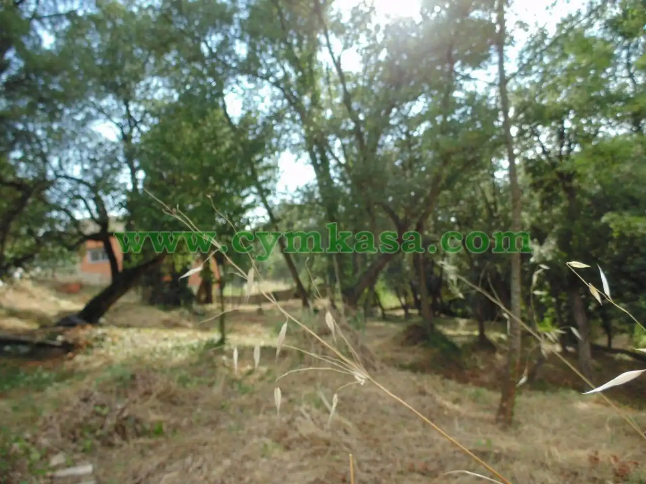 Terreno rustico in vendita a Terrabrava - Tordera Parc, imagen 4