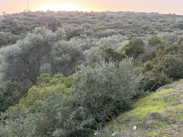 Terreno residencial en Venta en , Del Mar Mediterráneo en San Enrique - Guadiaro -  Pueblo Nuevo