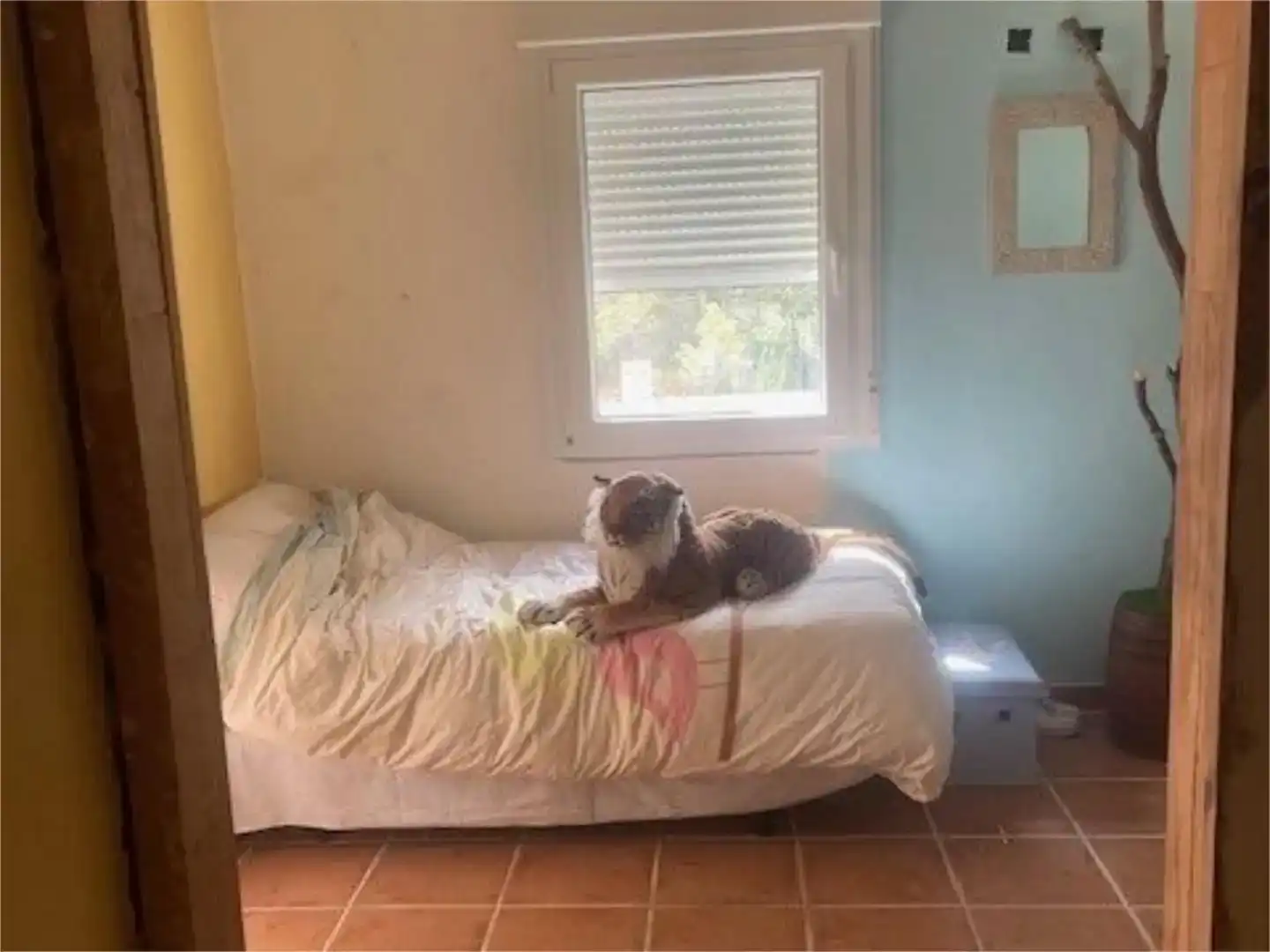 Schlafzimmer von Wohnung zum Verkauf in Tibi mit Balkon