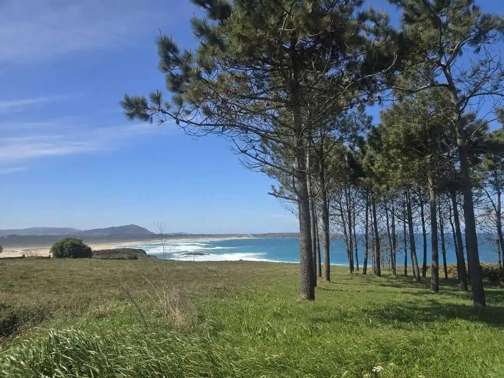 Vista exterior de Casa o xalet en venda en Valdoviño amb Calefacció, Jardí privat i Terrassa