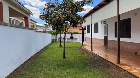 Foto 5 de Casa o chalet de alquiler en Calle el Greco, 3, Loreto, Espartinas