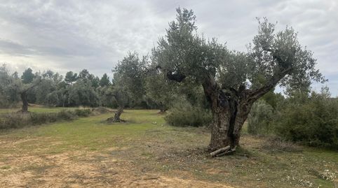 Finca rústica en Valderrobres, immagine 4