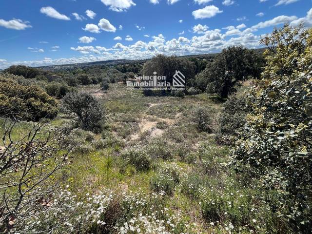 Terreno en Venta en Terradillos