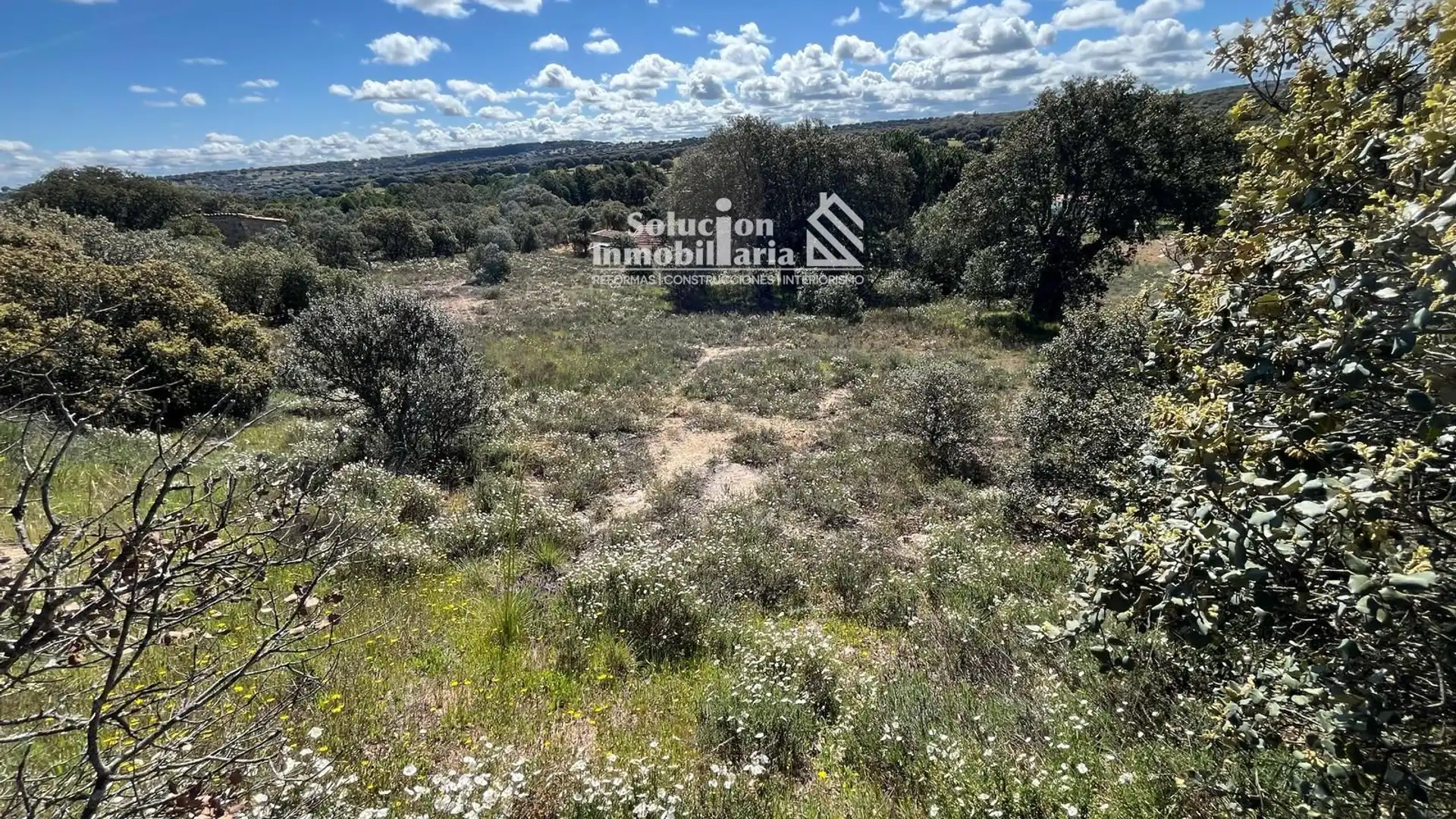 Land for sale in Terradillos