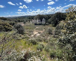 Land for sale in Terradillos