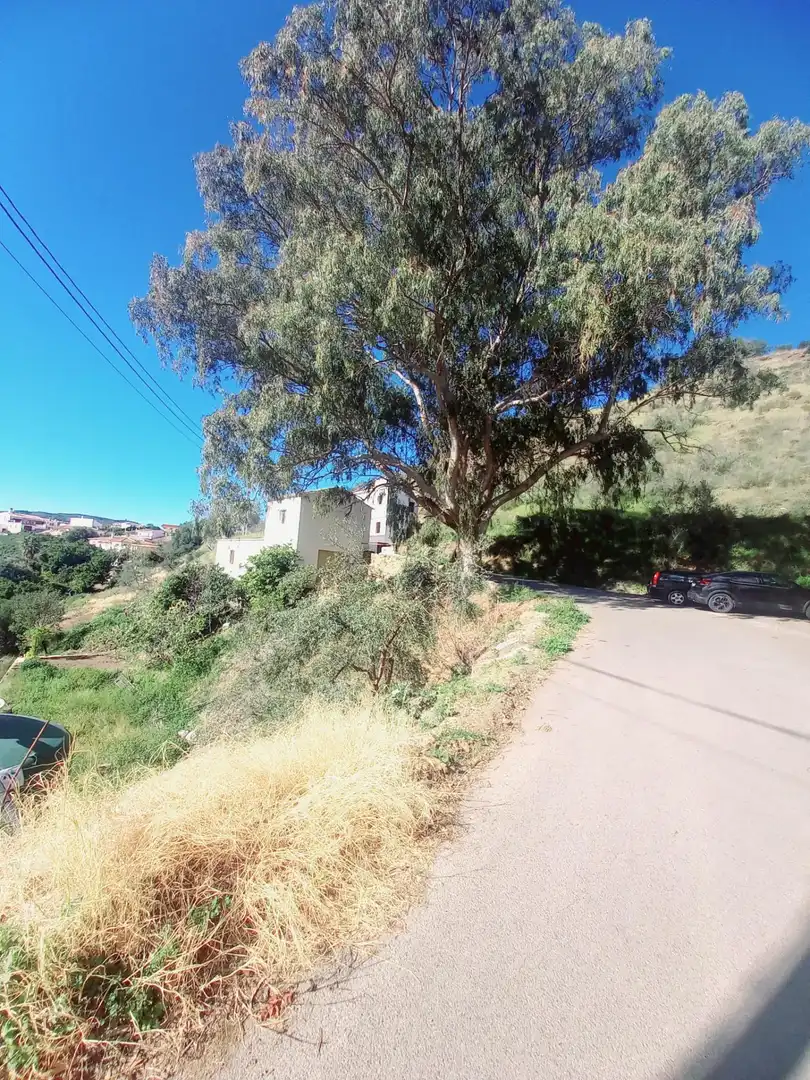 Vista exterior de Casa o chalet en venta en Canillas de Aceituno con Terraza, Trastero y Balcón