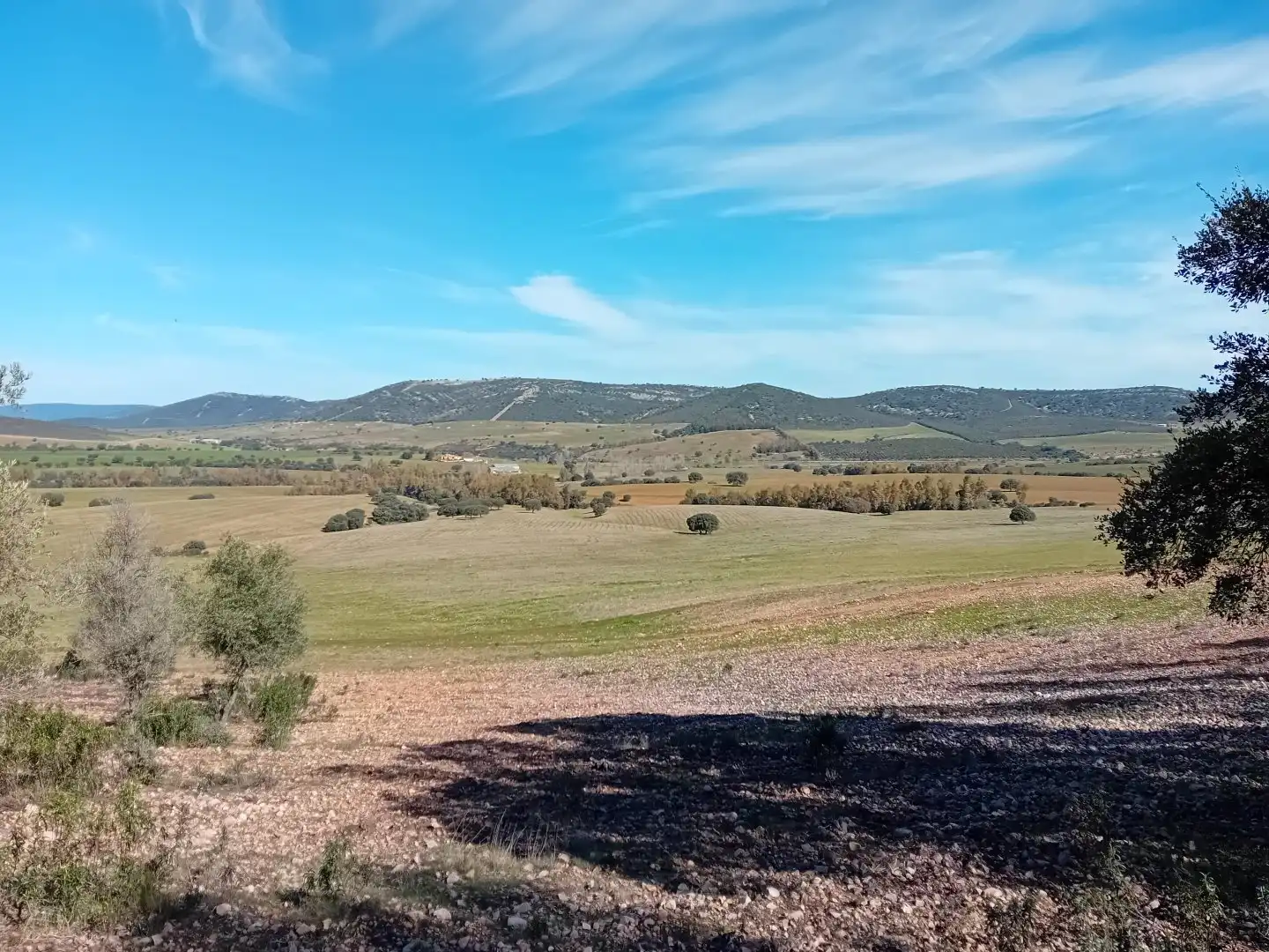 Residential for sale in Puebla de Don Rodrigo