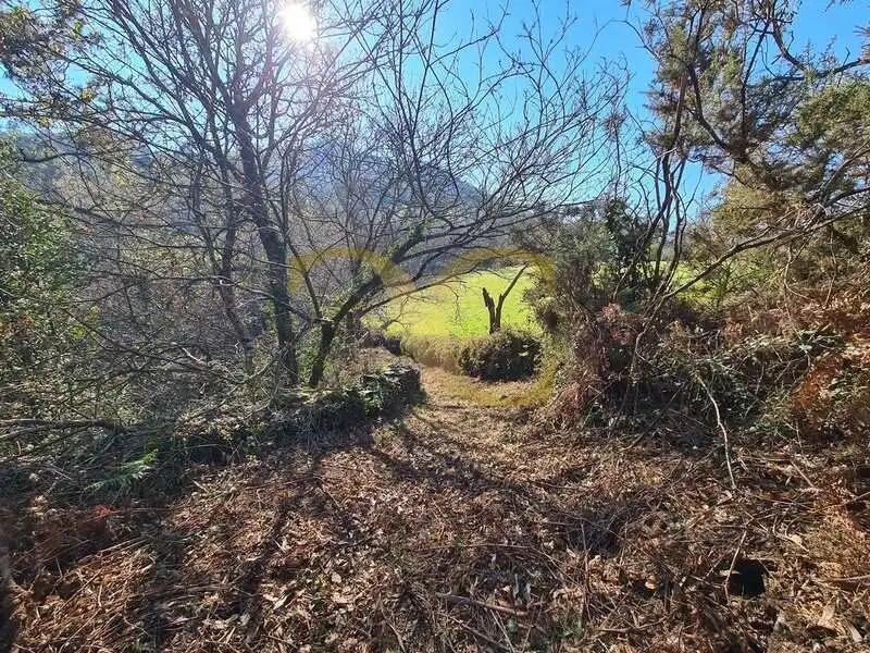 Casa o xalet en venda en Villayón amb Jardí privat