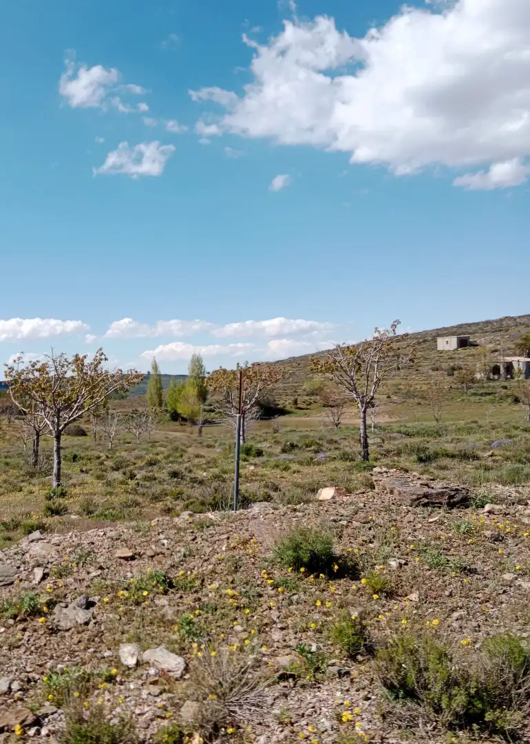 Finca rústica en venda en Velefique amb Moblat