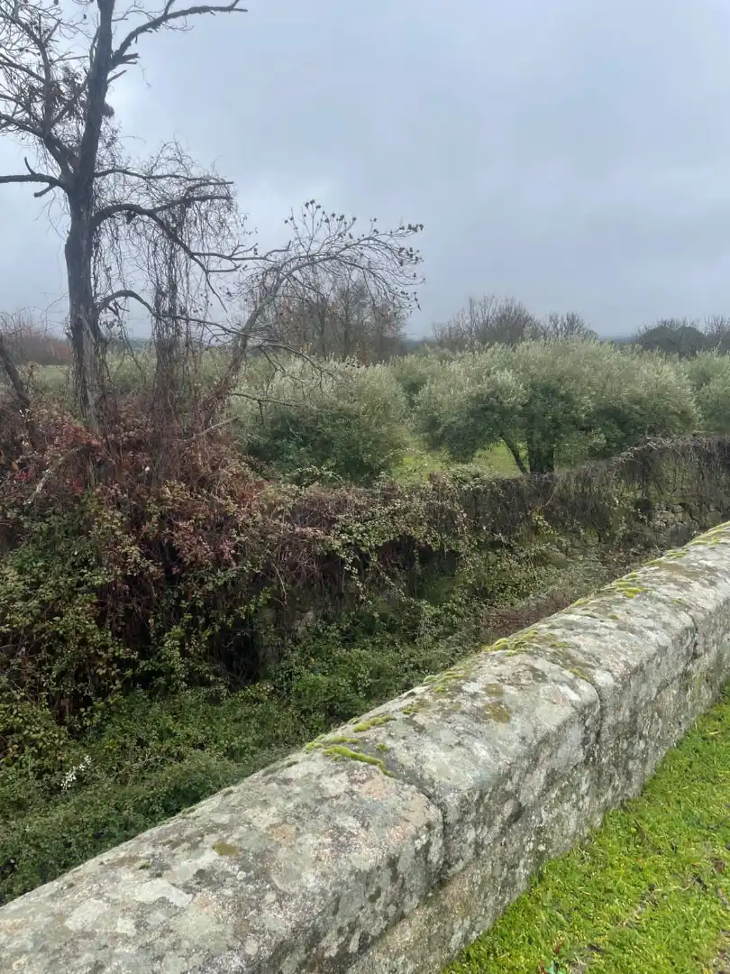 Terreni e lotti in vendita a Sotillo de la Adrada, imagen 13