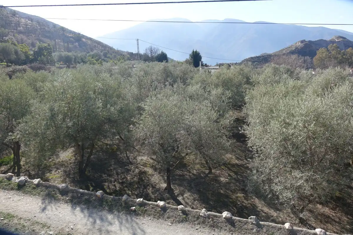 Rural land for sale in Órgiva, imagen 11