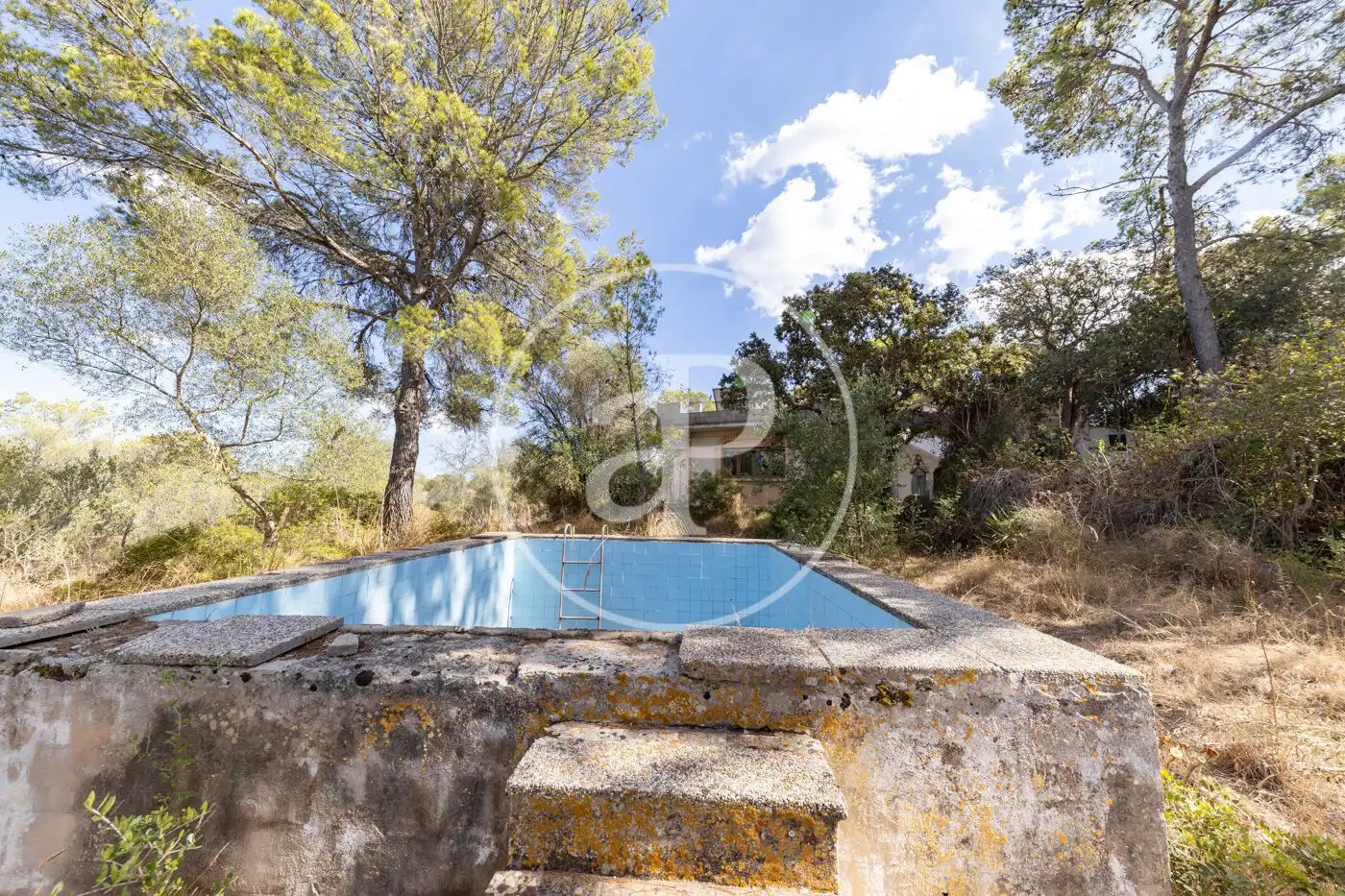 Casa amb jardí en venda a Sencelles, imagen 21