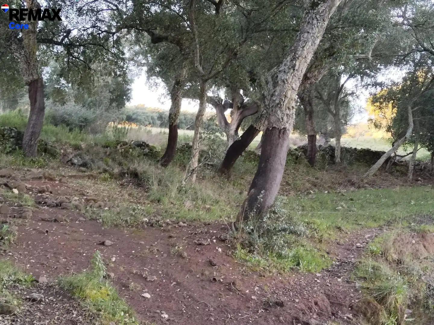 Terreni e lotti in vendita a Jerez de los Caballeros, imagen 4