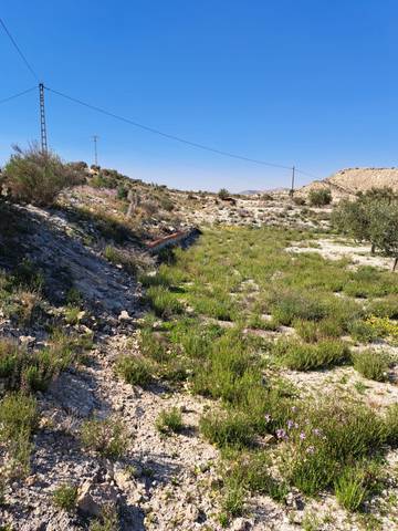 Terreno en Venta en Plaça Industrial Garganta en Crevillent