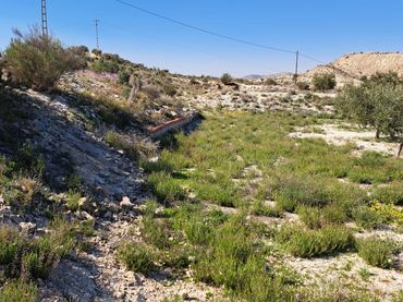 Rural land for sale in Plaça Industrial Garganta