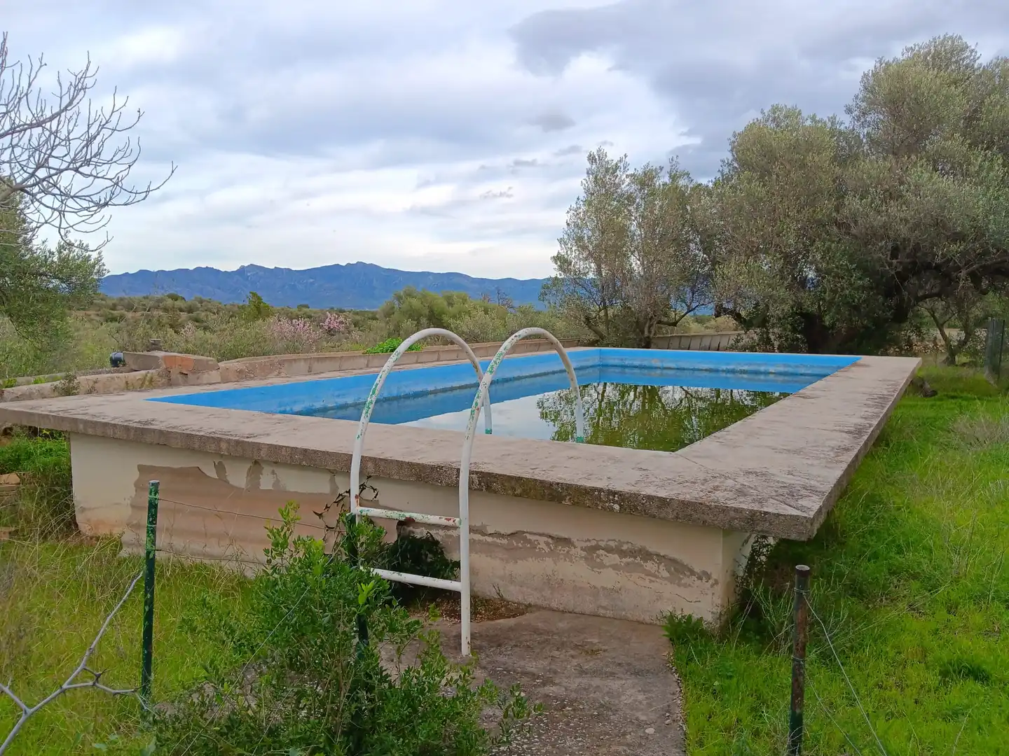 Piscina de Casa o chalet en venta en Tortosa