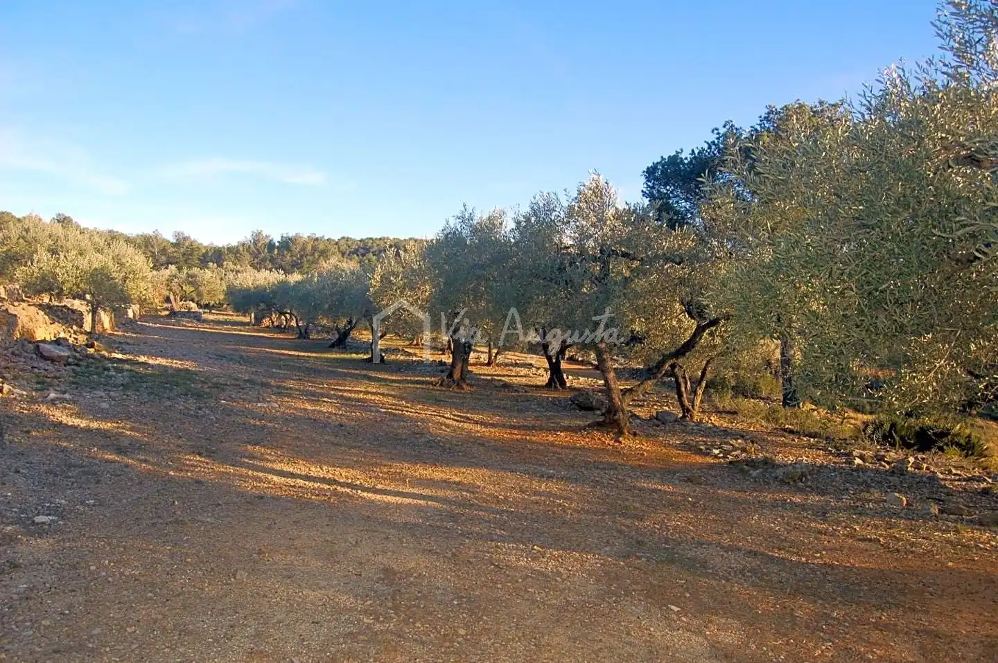 Terreno rustico in vendita a Burgà, imagen 13