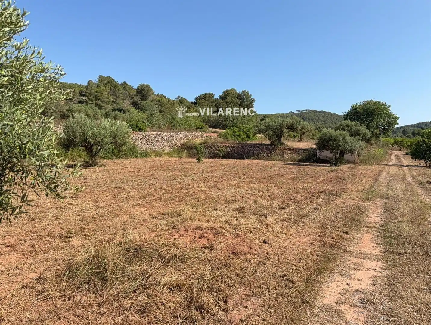 Rustikales Grundstück zum Verkauf in La Pobla de Montornès, imagen 2