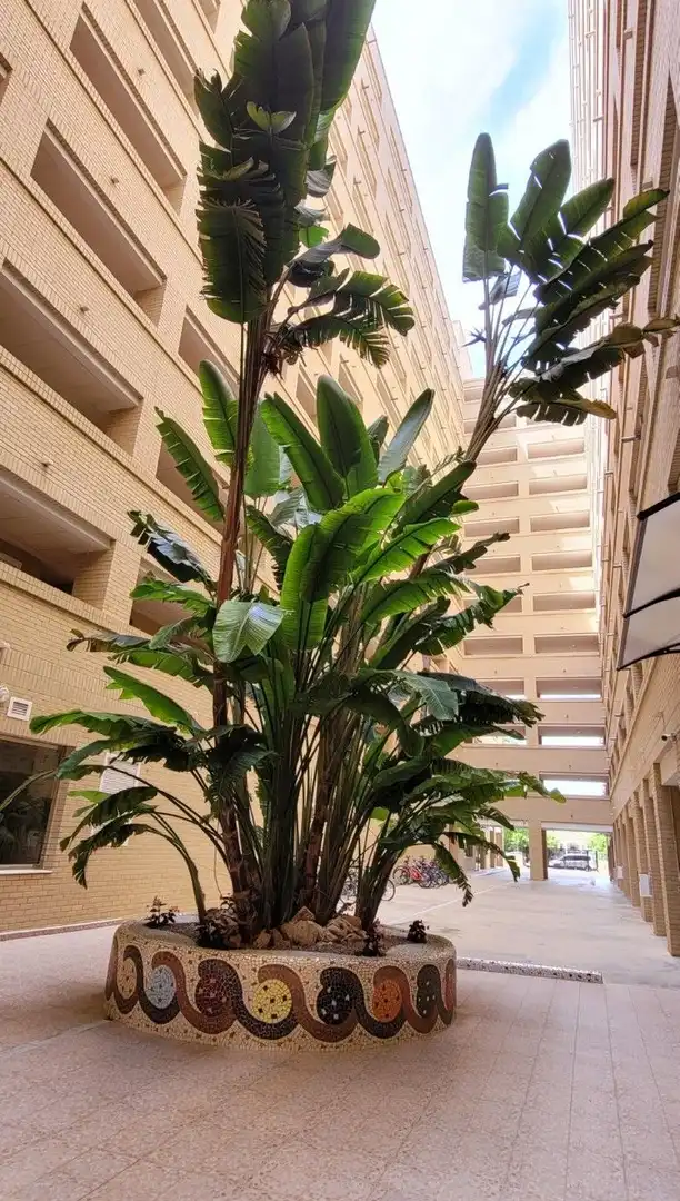 Apartamento con piscina en venta en Amplaries 41, imagen 15