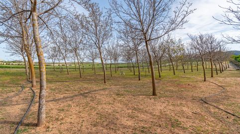 Finca rústica en venta con casa, nave y piscina, immagine 3