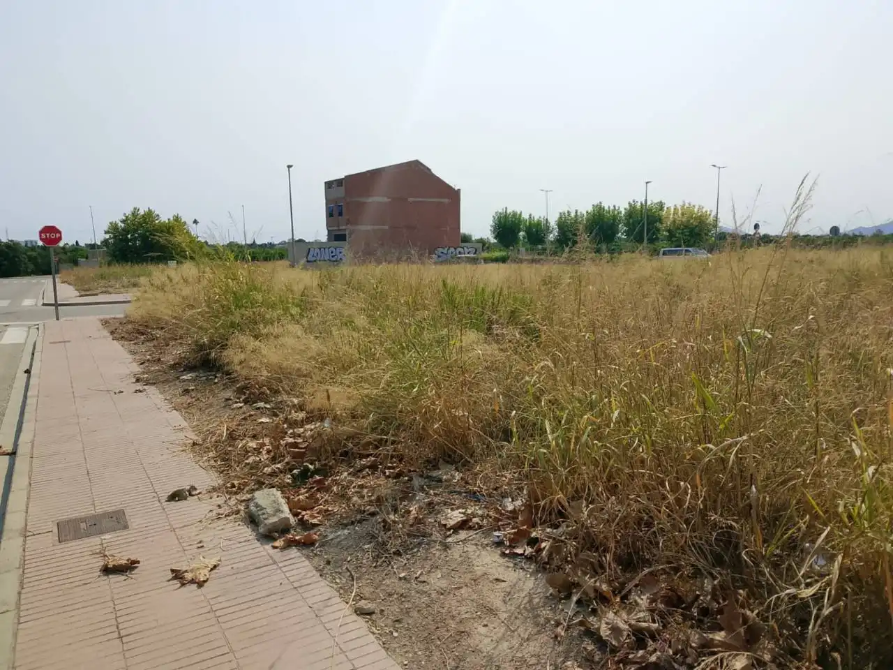 Residential land for sale in Calle Botánico Cabanilles, imagen 5