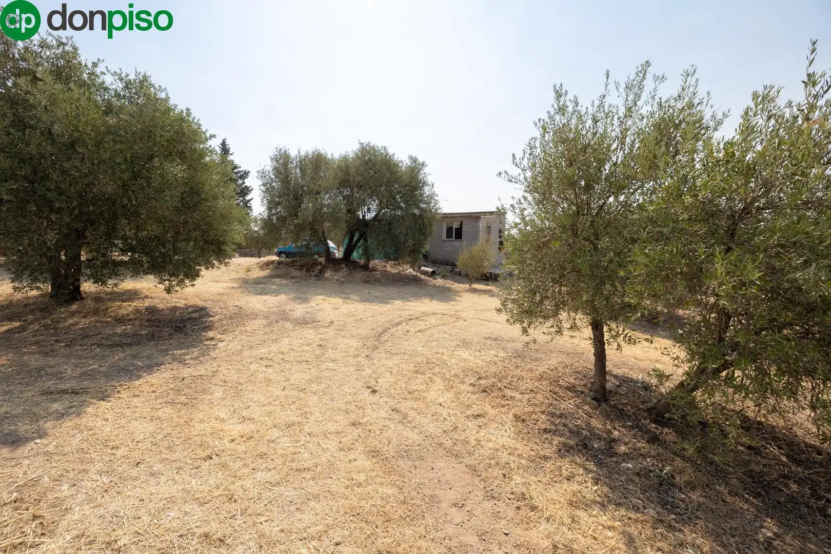 Finca rústica en venda a Calle de Moraleda a Cómpeta, Moraleda de Zafayona