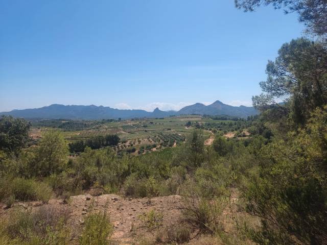 Terreno en Venta en Bot