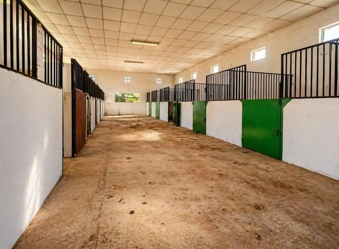 Villa à vendre à Novelda, imagen 43