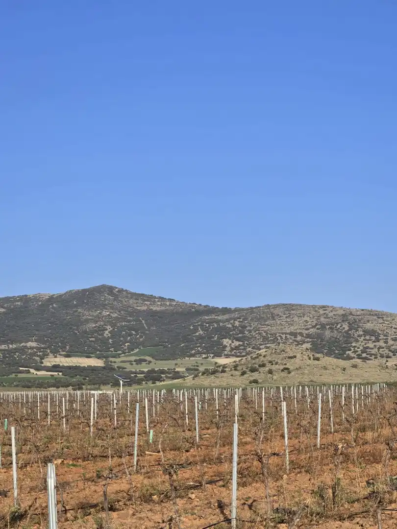 Casa rústica en venda a Torralba de Calatrava, imagen 3