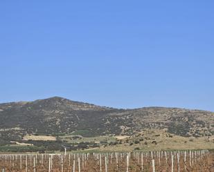 Finca rústica en venda en Torralba de Calatrava
