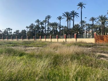 Wohnbaugrundstück zum Verkauf in Elche ciudad