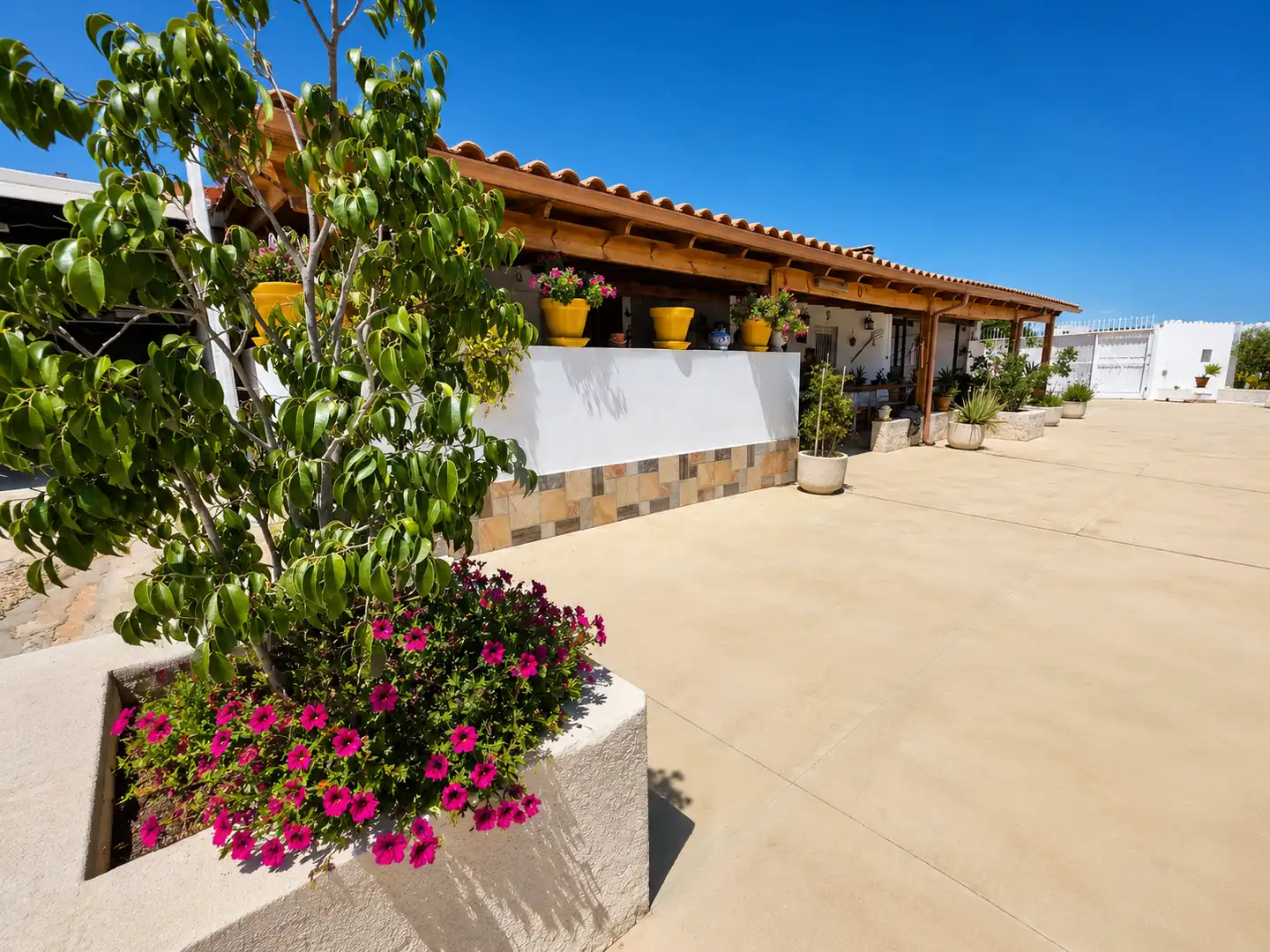 Terrassa de Casa o xalet en venda en Fortuna amb Aire condicionat, Terrassa i Piscina