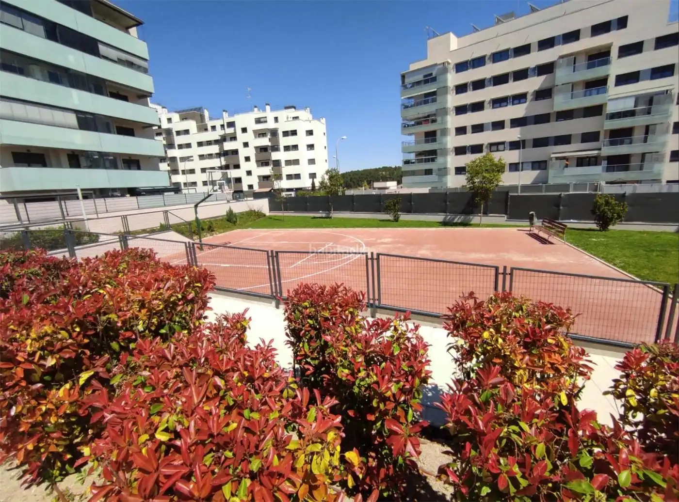 Pis amb piscina de lloguer a Calle Alfonso VI 10, imagen 24