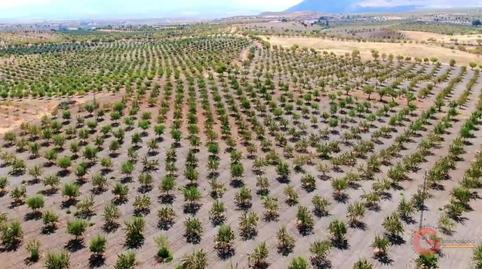 Foto 4 de Casa o xalet en venda a Gor, Granada